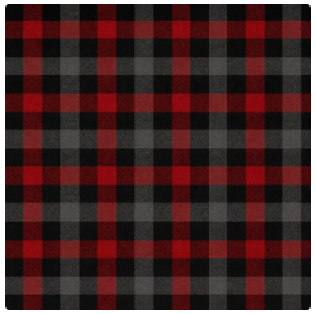 Prairie Paper Studio 12x12 Gingham Collection - True North Memories
