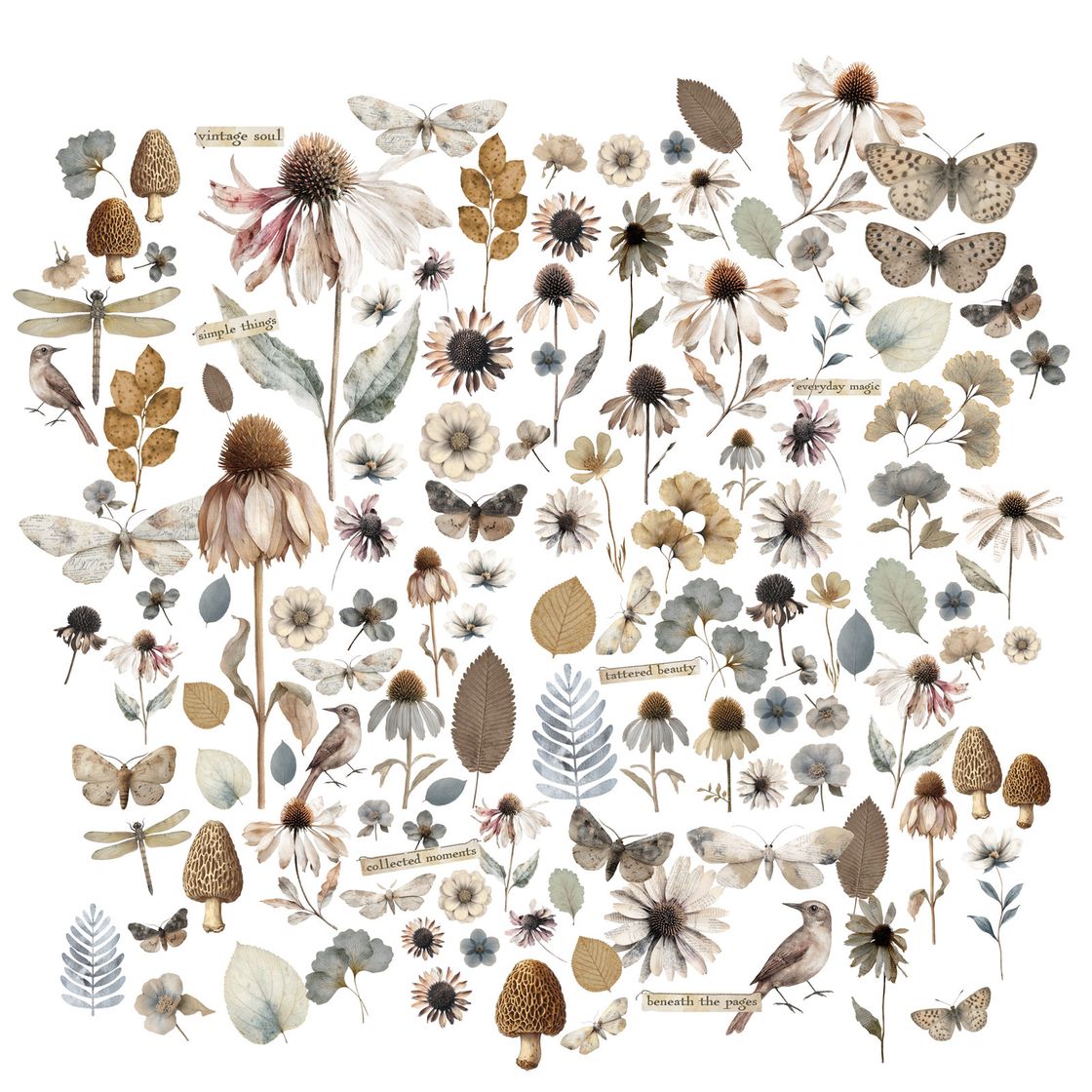 Faded Memory Lane Wildflower Laser Cuts