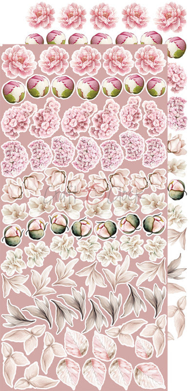 Craft O'Clock - Extras Set - Rose Emotions