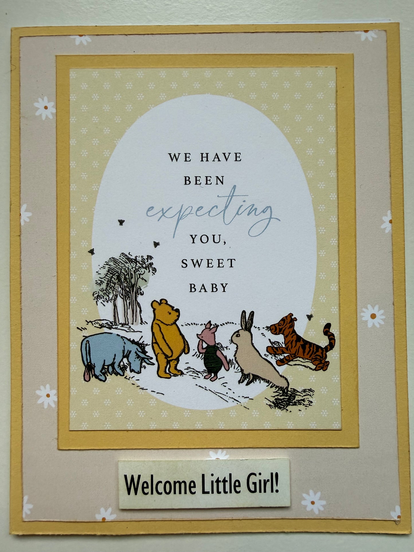 Pooh Baby Card Kit