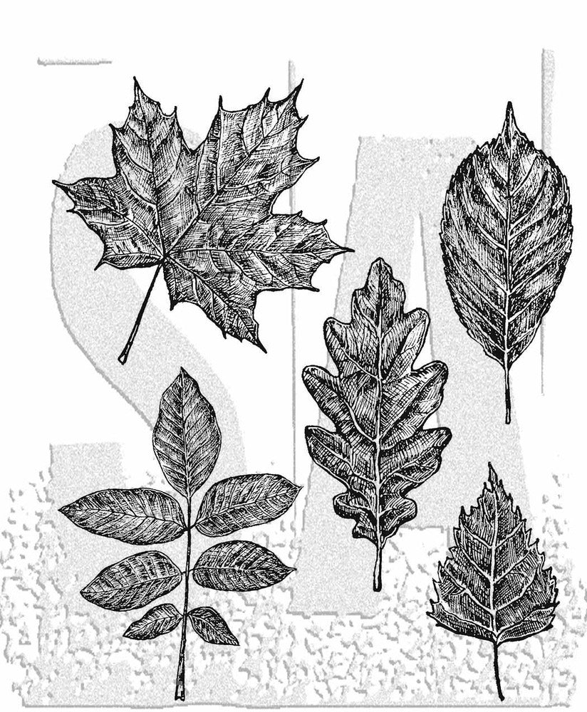 Stampers Anonymous Tim Holtz Collection Cling Stamp, Sketchy Leaves