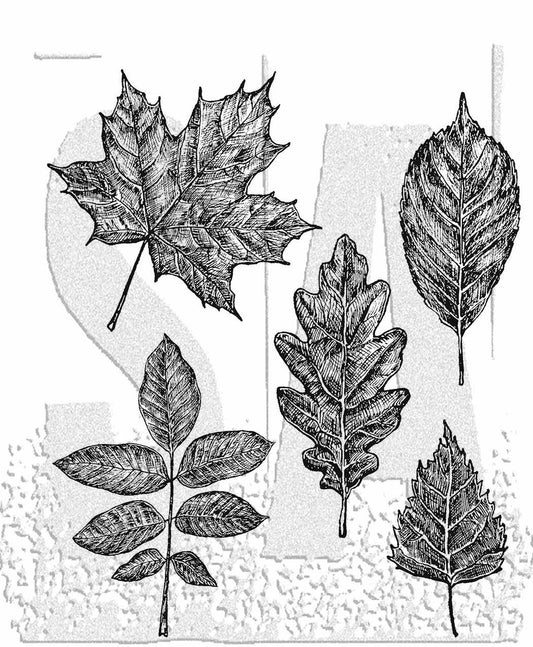 Stampers Anonymous Tim Holtz Collection Cling Stamp, Sketchy Leaves