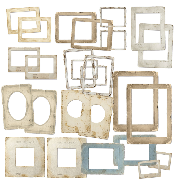 49 & Market The Quiet Observer Frame Set
