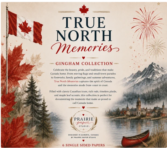 Prairie Paper Studio 12x12 Gingham Collection - True North Memories