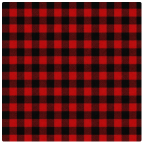 Prairie Paper Studio 12x12 Gingham Collection - True North Memories