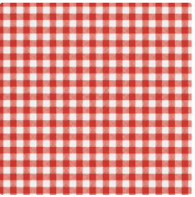 Prairie Paper Studio 12x12 Gingham Collection - True North Memories