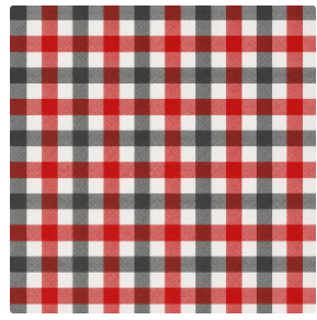 Prairie Paper Studio 12x12 Gingham Collection - True North Memories