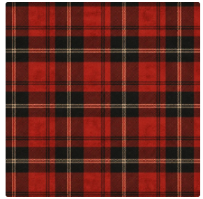 Prairie Paper Studio 12x12 Gingham Collection - True North Memories